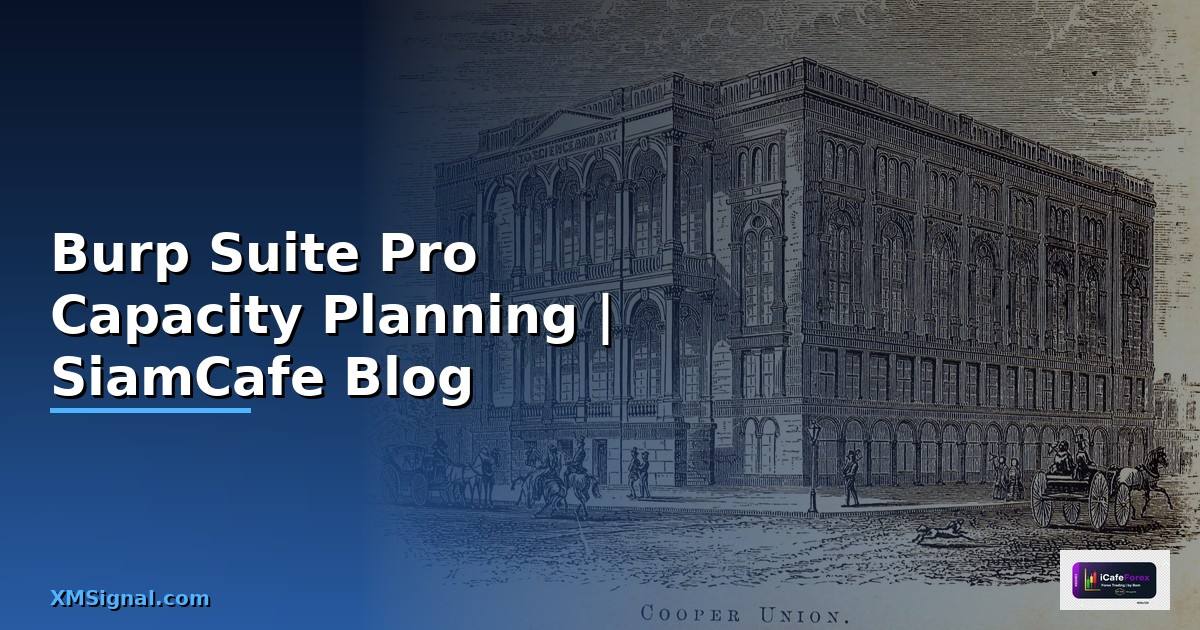 Burp Suite Pro Capacity Planning