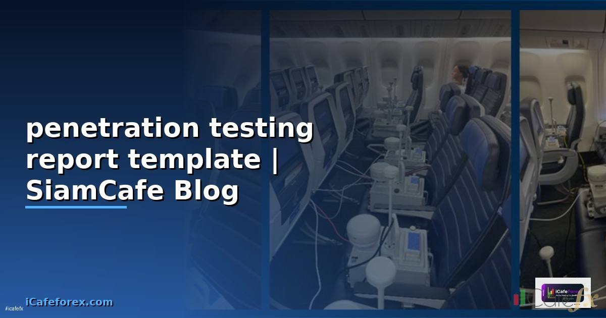penetration testing report