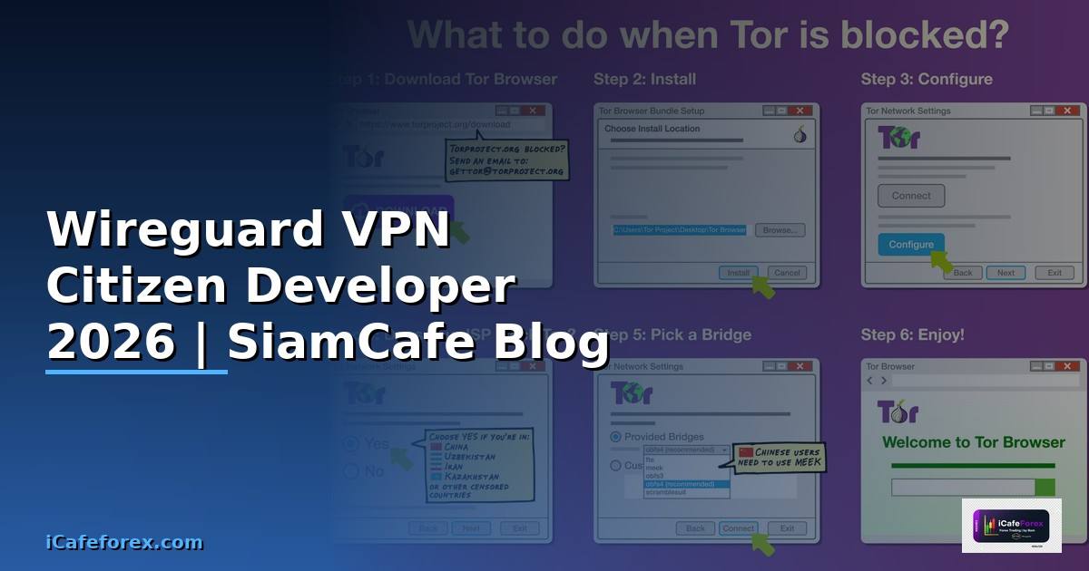 Wireguard VPN Citizen Developer