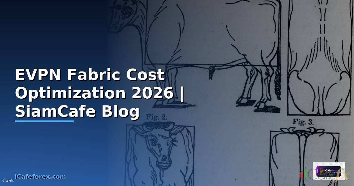 EVPN Fabric Cost Optimization ลดค่าใช้จ่าย
