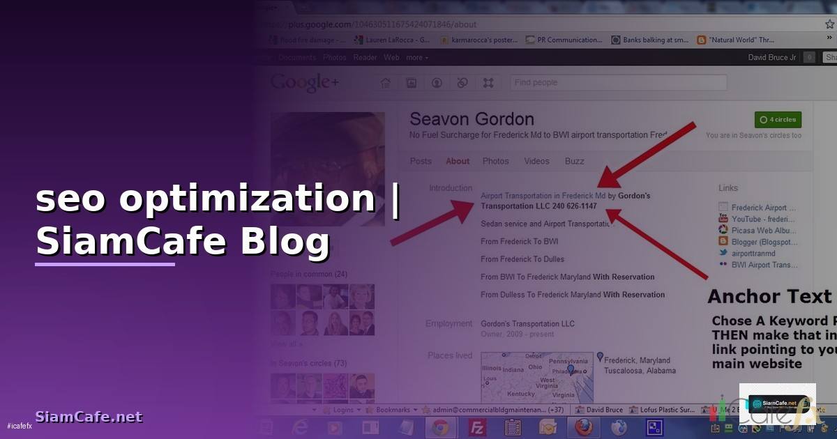 seo optimization คือ