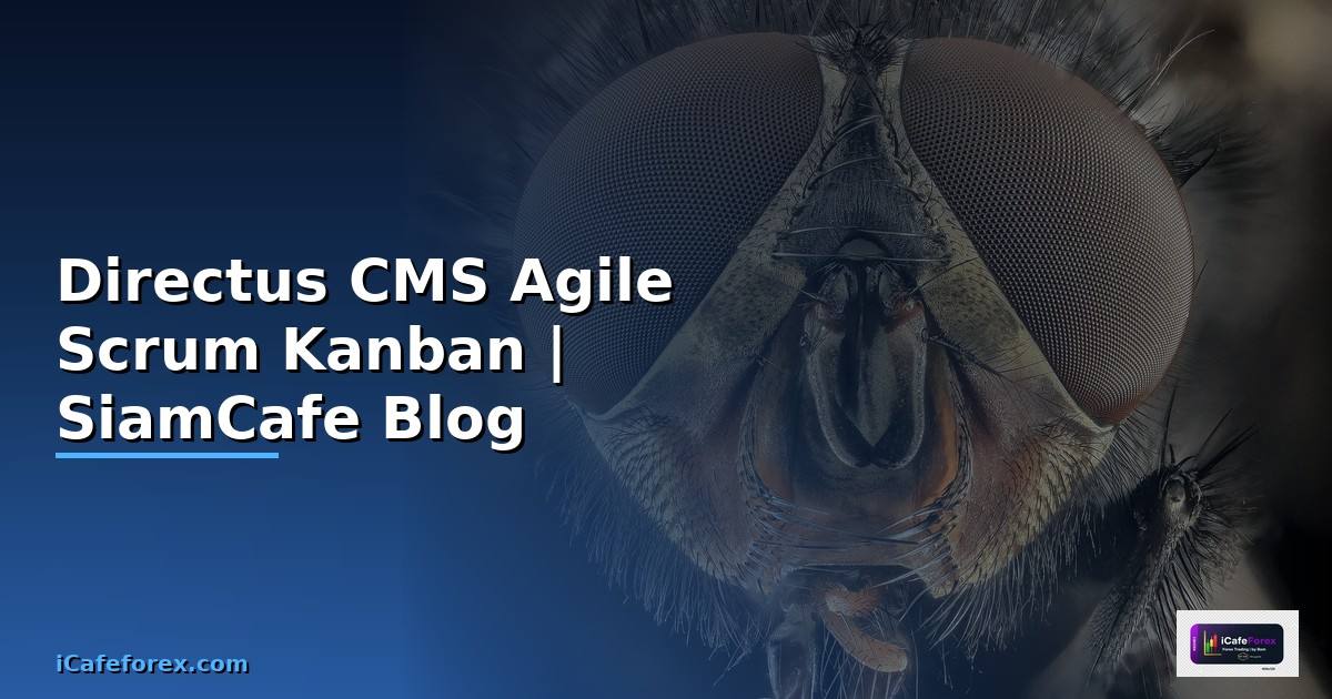 Directus CMS Agile Scrum Kanban