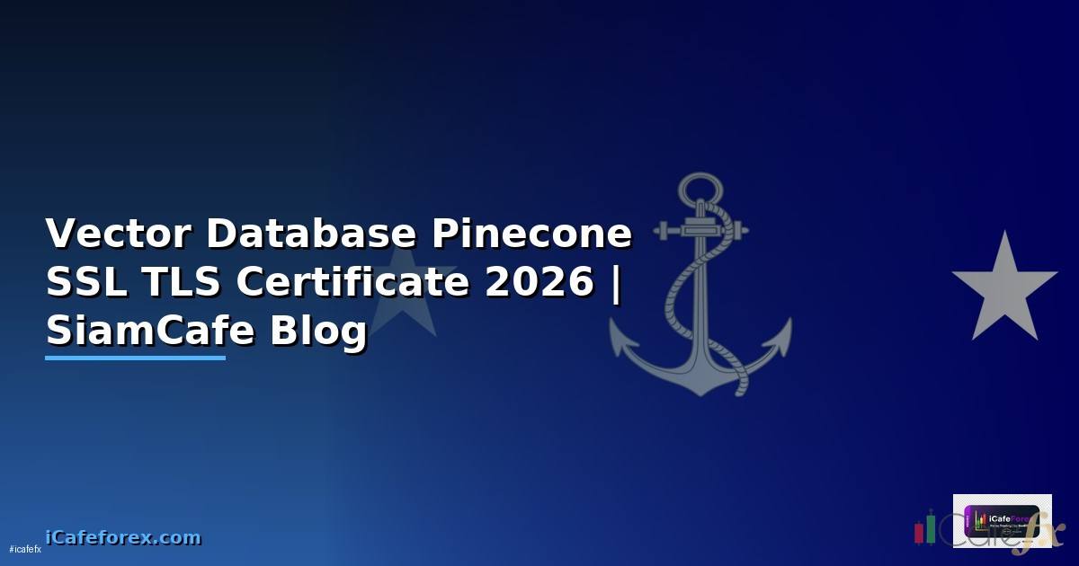 Vector Database Pinecone SSL TLS Certificate