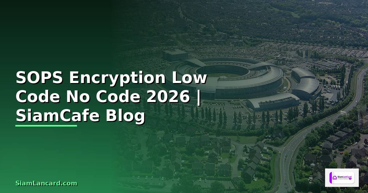 SOPS Encryption Low Code No Code