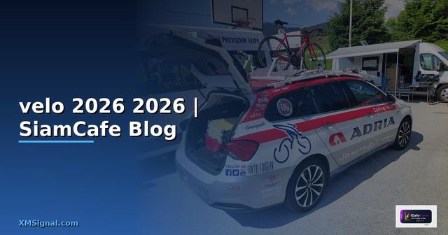 เหรียญvelo — คู่มือฉบับสมบูรณ์ 2026