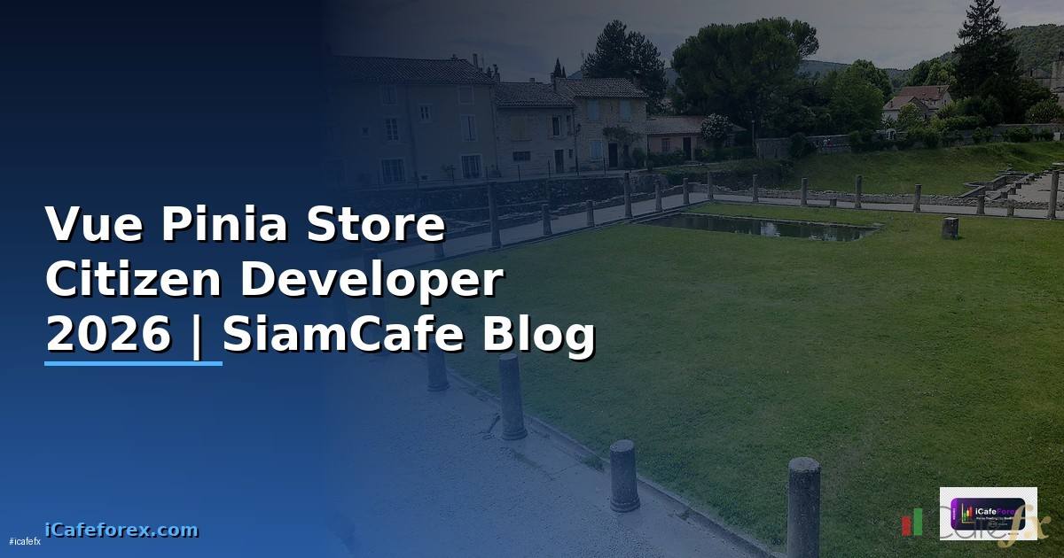 Vue Pinia Store Citizen Developer