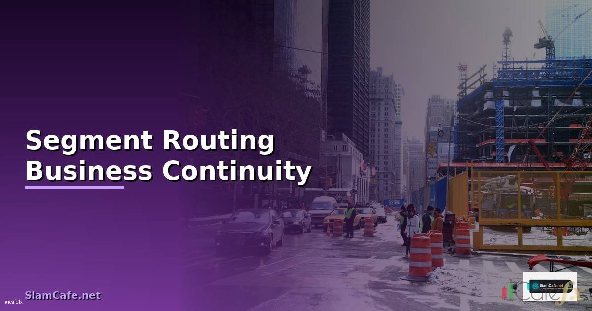 Segment Routing Business Continuity —