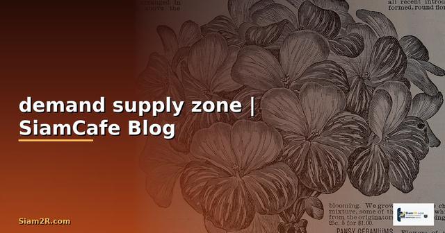 วิธีหา demand supply zone