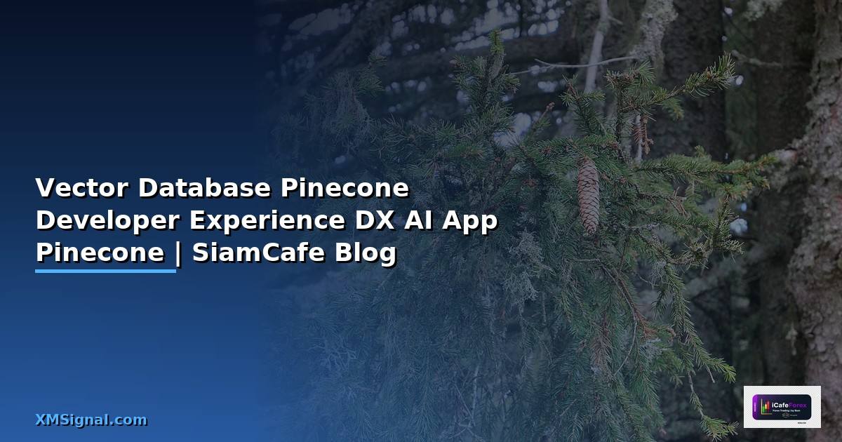 Vector Database Pinecone Developer Experience DX