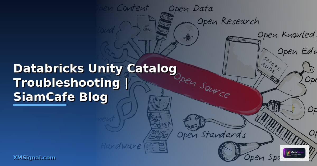 Databricks Unity Catalog Troubleshooting แก้ปัญหา