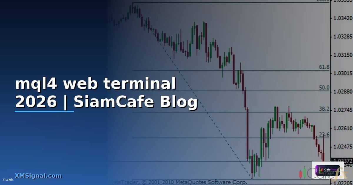 mql4 web terminal — ข้อมูลครบถ้วน 2026