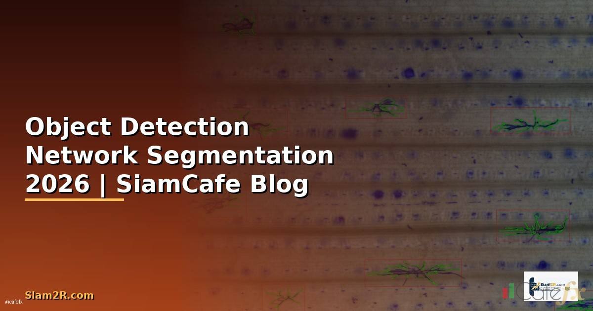 Object Detection Network Segmentation