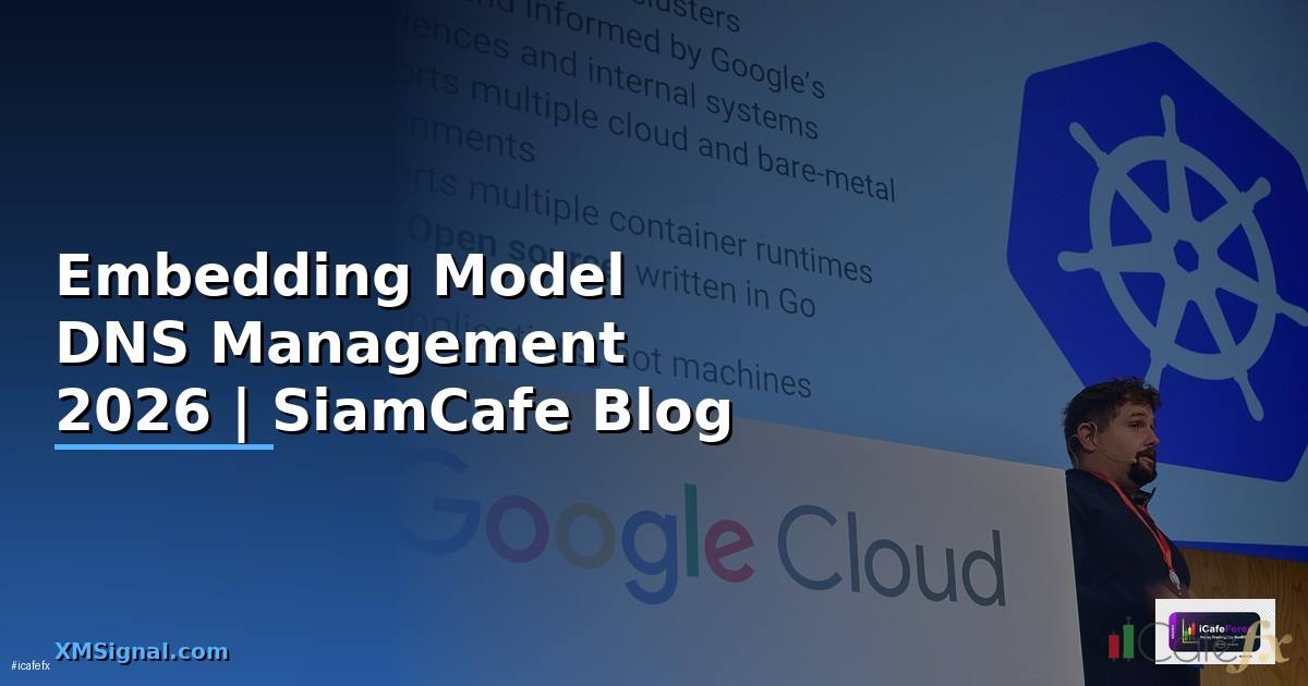 Embedding Model DNS Management
