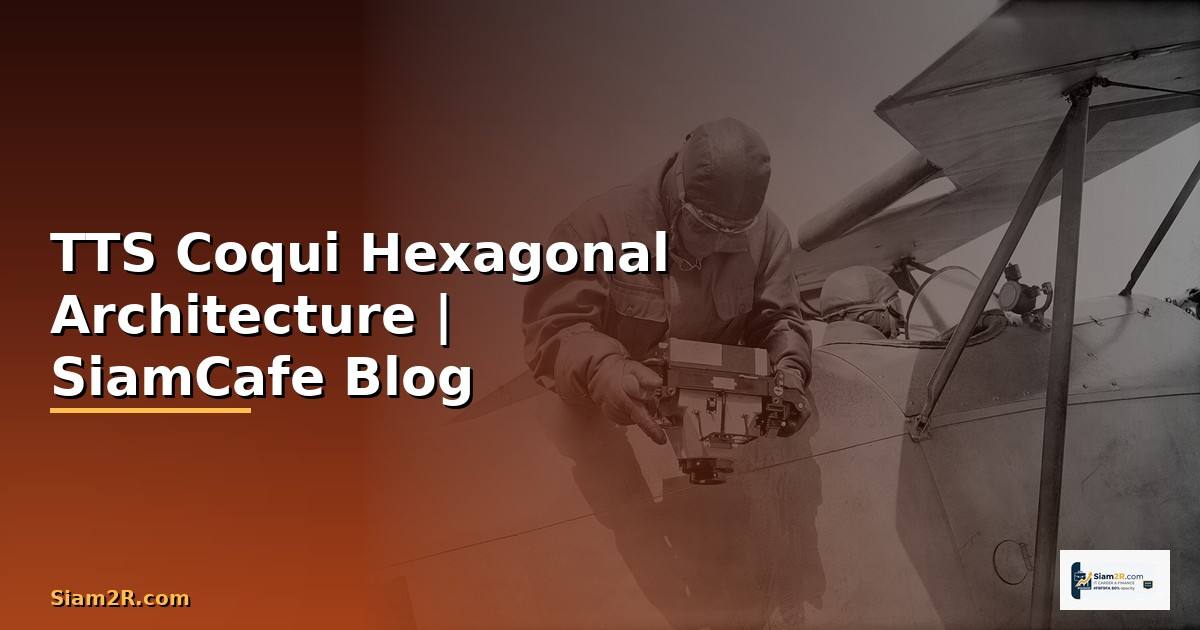 TTS Coqui Hexagonal Architecture