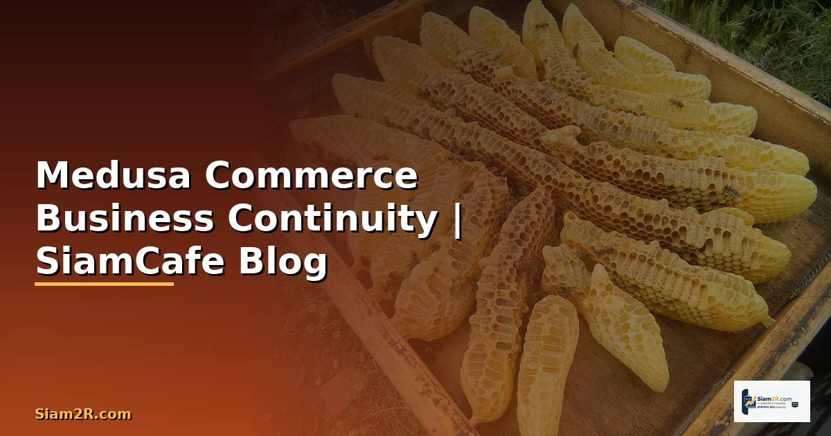 Medusa Commerce Business Continuity