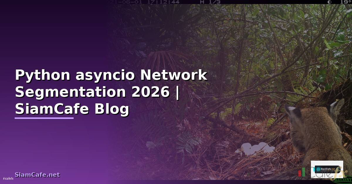 Python asyncio Network Segmentation