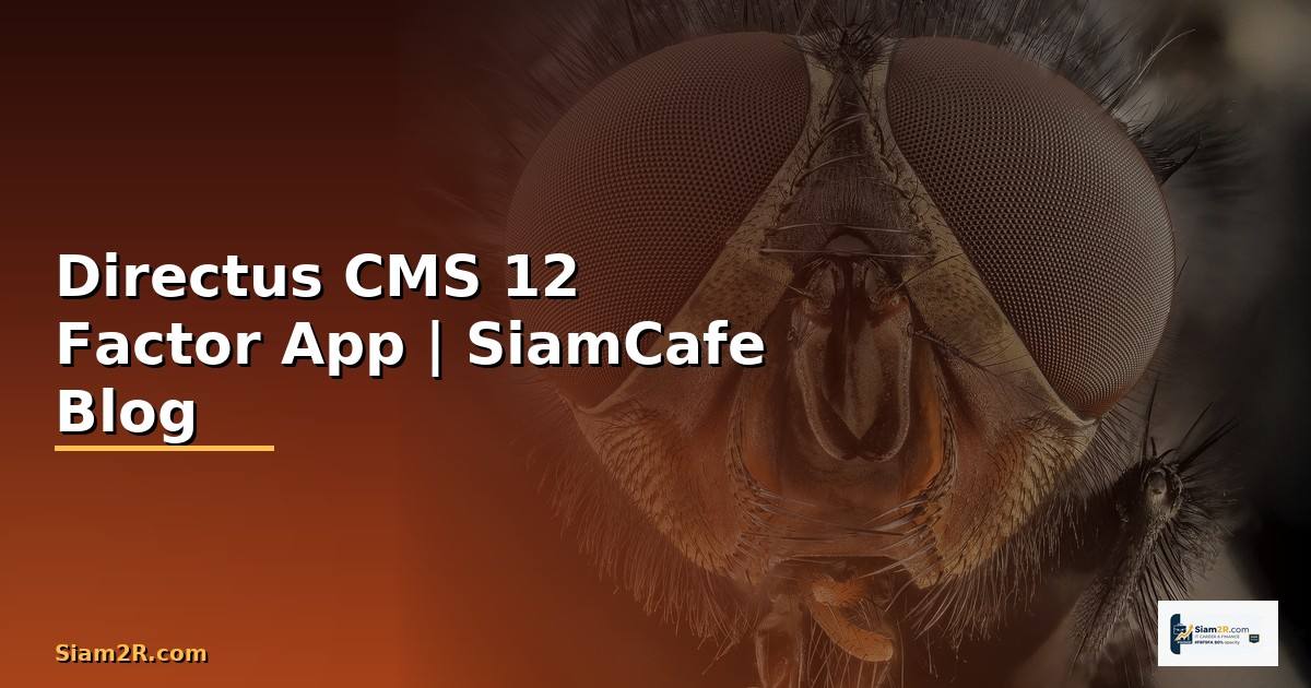 Directus CMS 12 Factor App