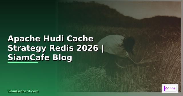 Apache Hudi Cache Strategy Redis