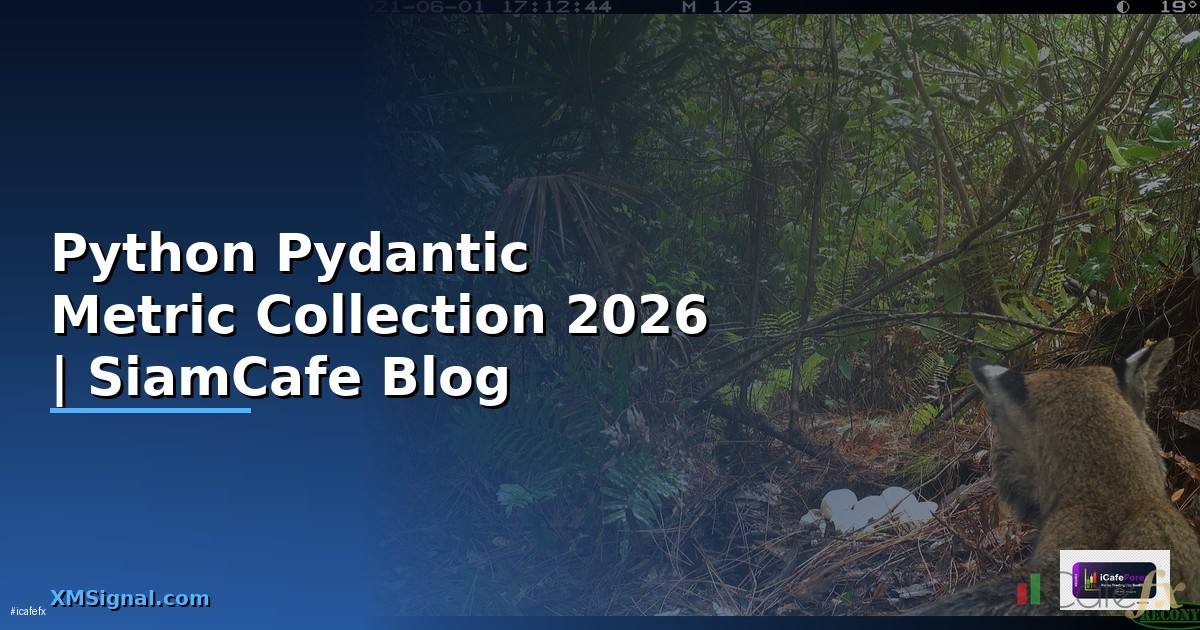 Python Pydantic Metric Collection