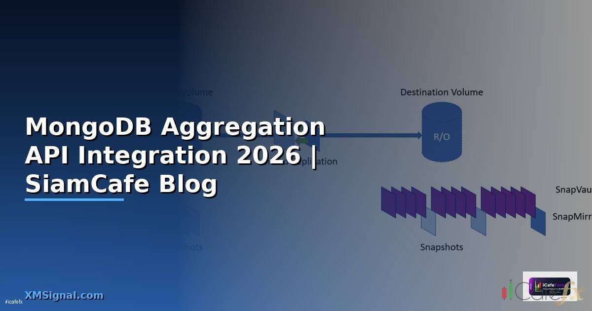 MongoDB Aggregation API Integration เชื่อมต่อระบบ