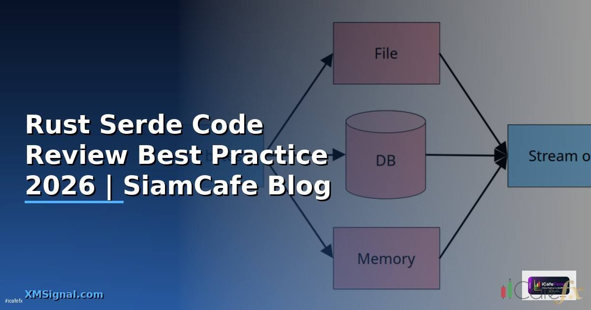 Rust Serde Code Review Best Practice