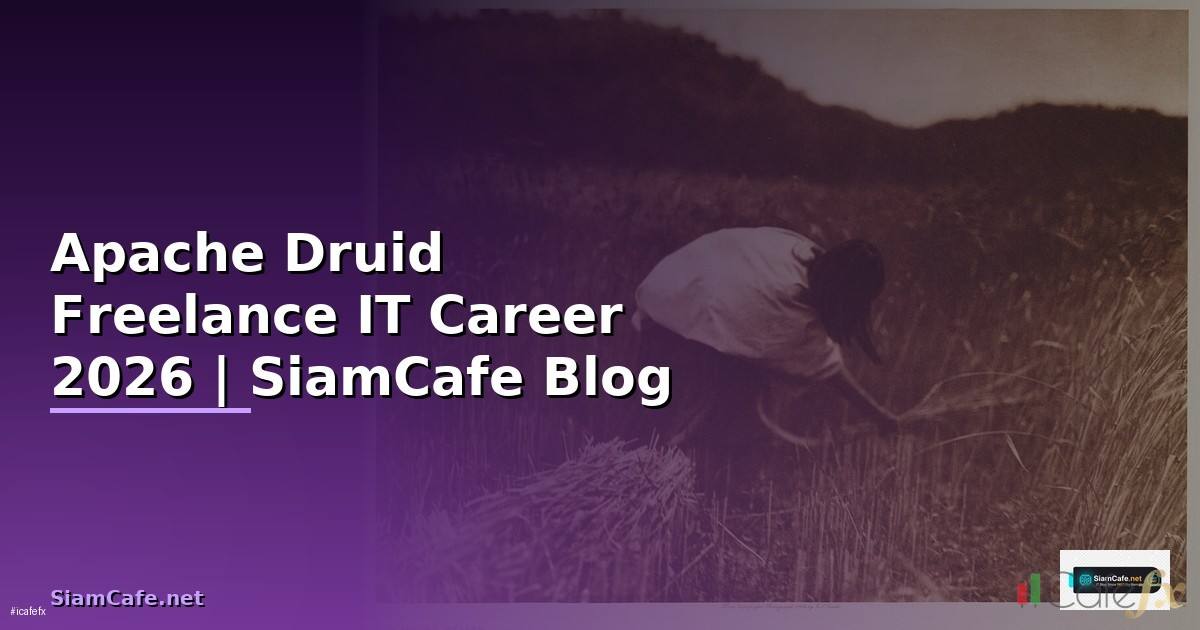 Apache Druid Freelance IT Career