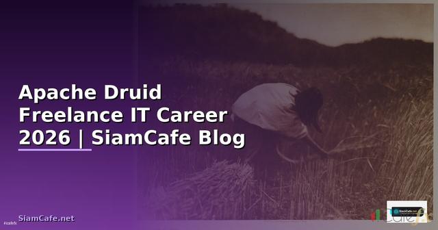 Apache Druid Freelance IT Career