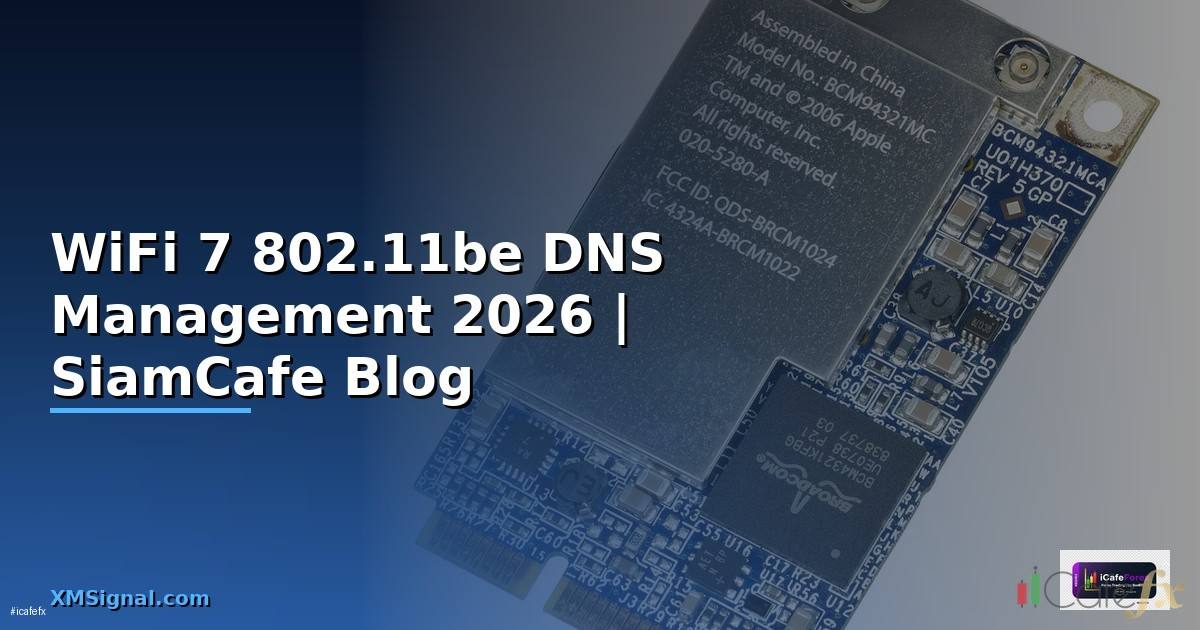 WiFi 7 802.11be DNS Management