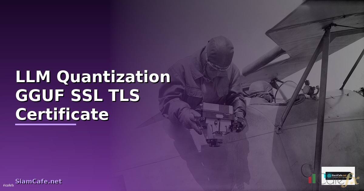 LLM Quantization GGUF SSL TLS Certificate —