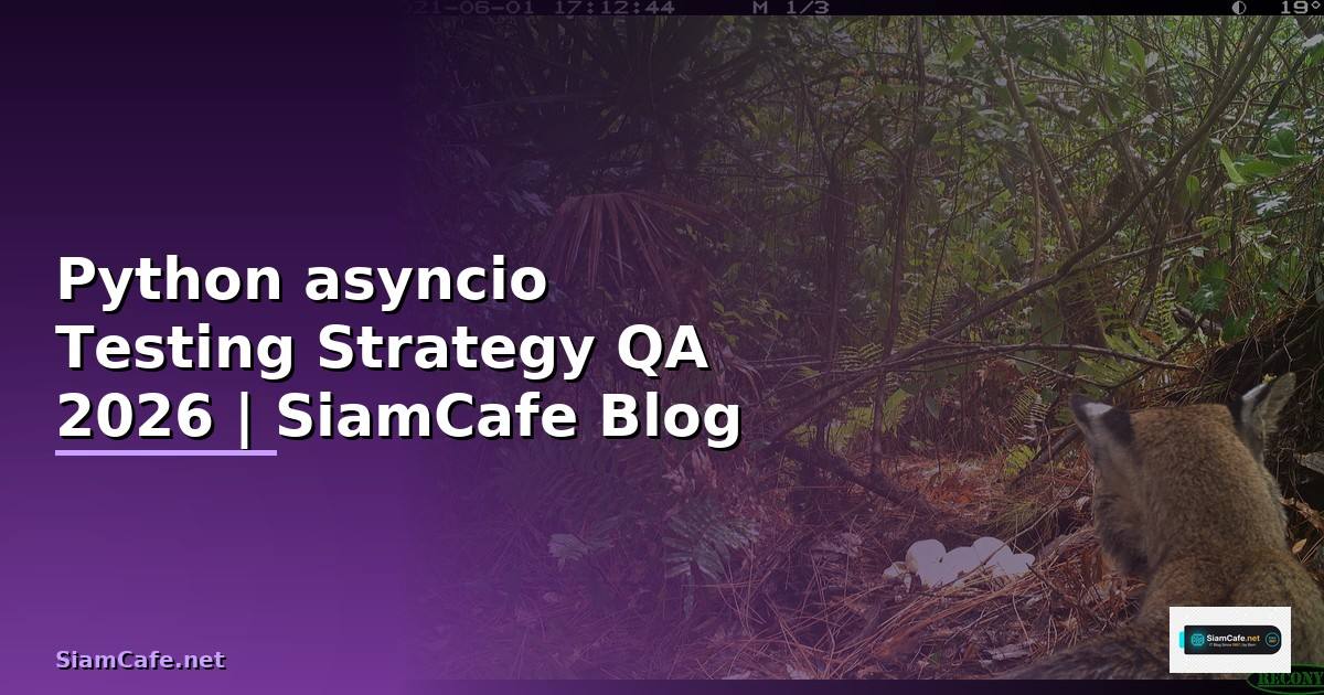 Python asyncio Testing Strategy QA