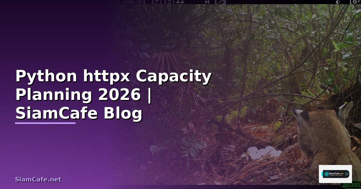 Python httpx Capacity Planning