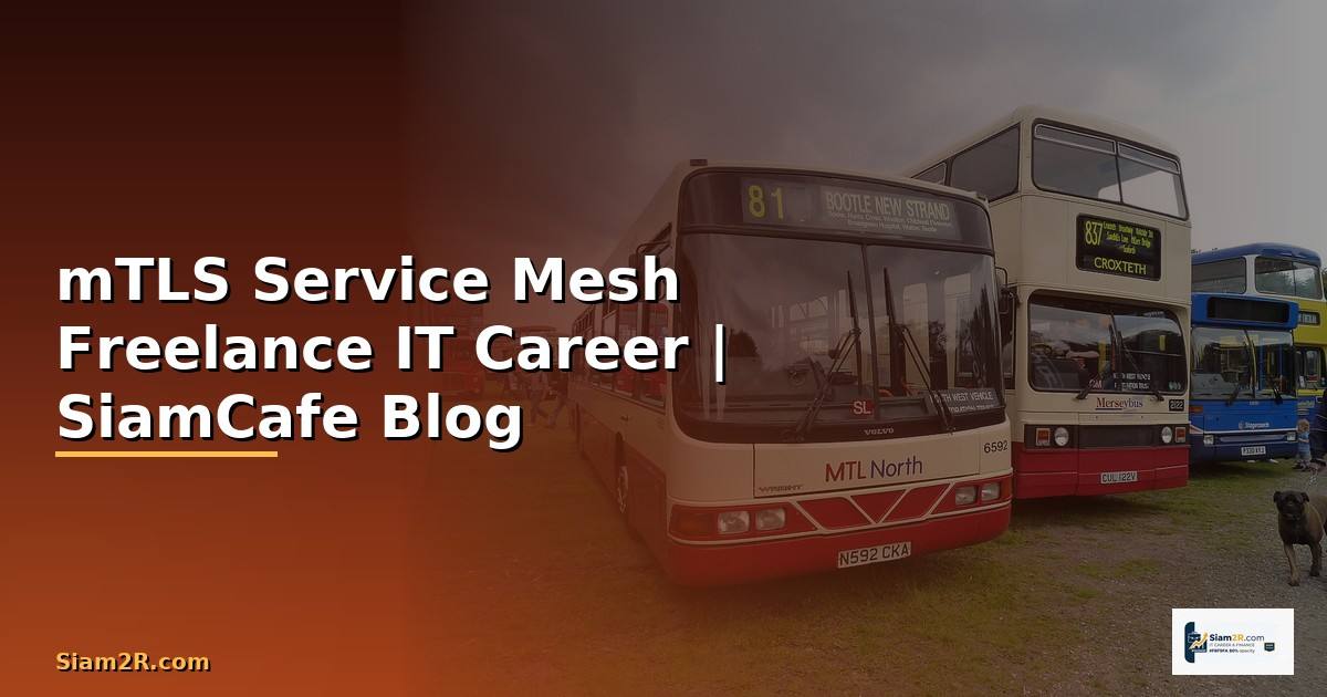 mTLS Service Mesh Freelance IT Career
