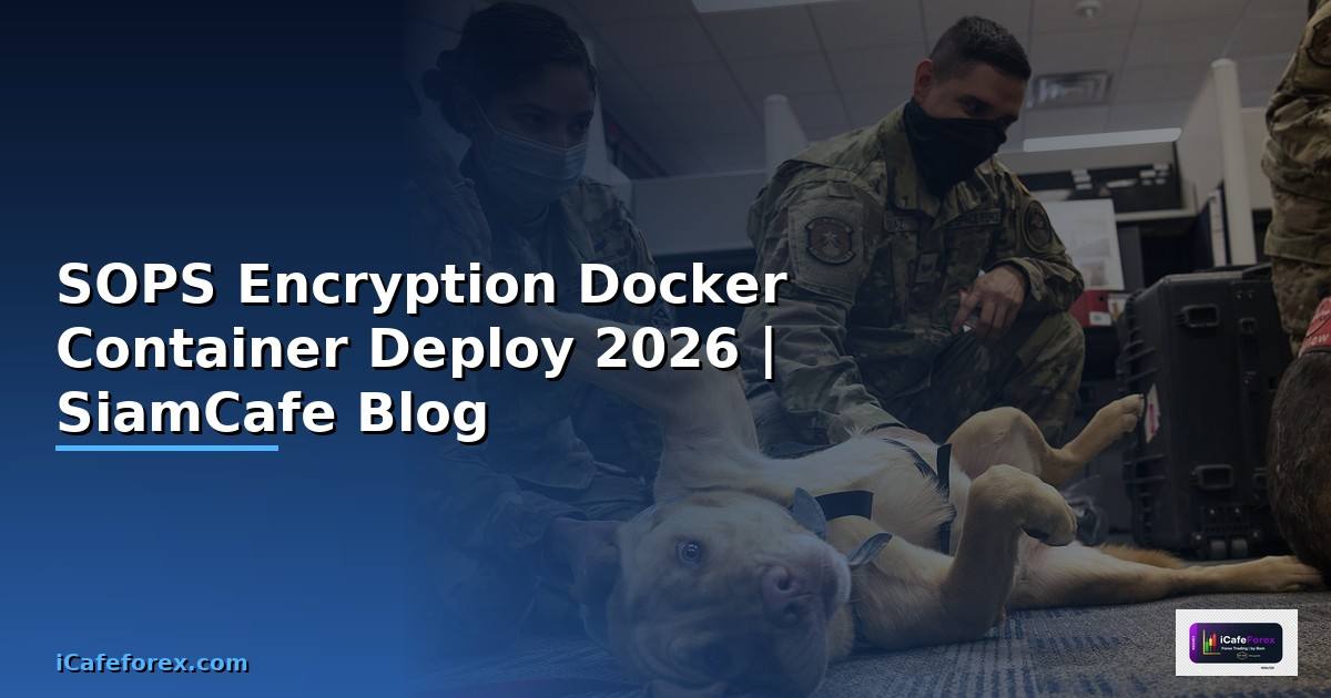 SOPS Encryption Docker Container Deploy