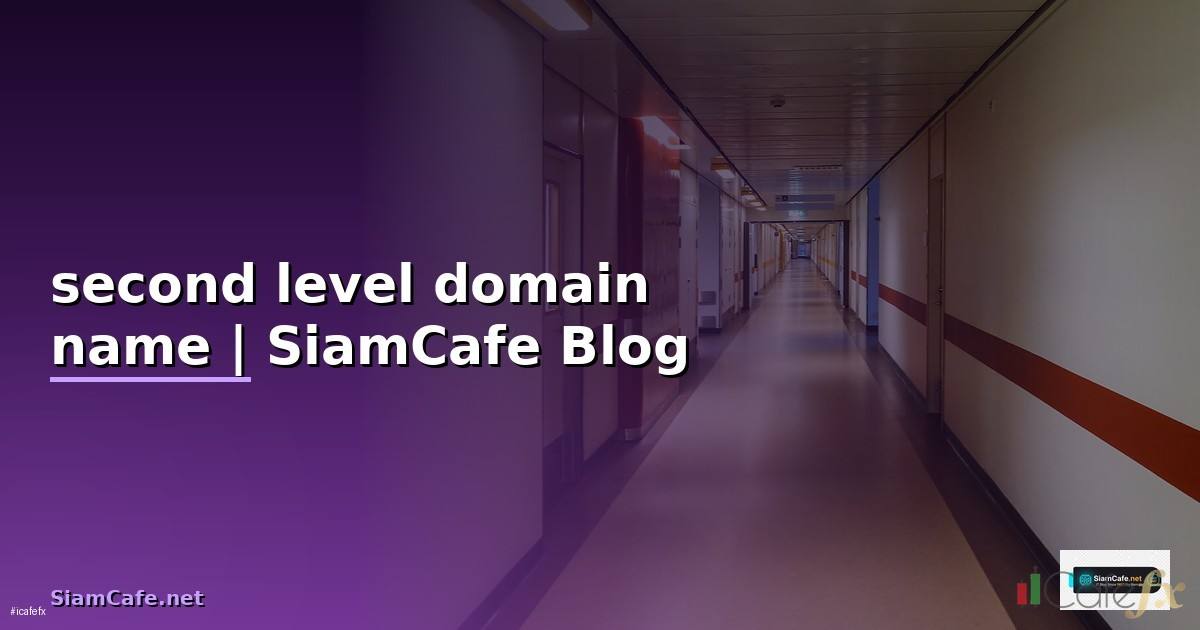 second level domain name คือ