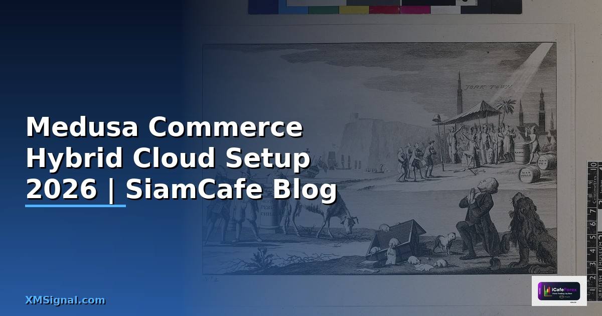 Medusa Commerce Hybrid Cloud Setup