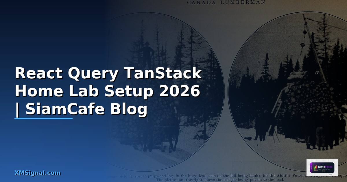 React Query TanStack Home Lab Setup