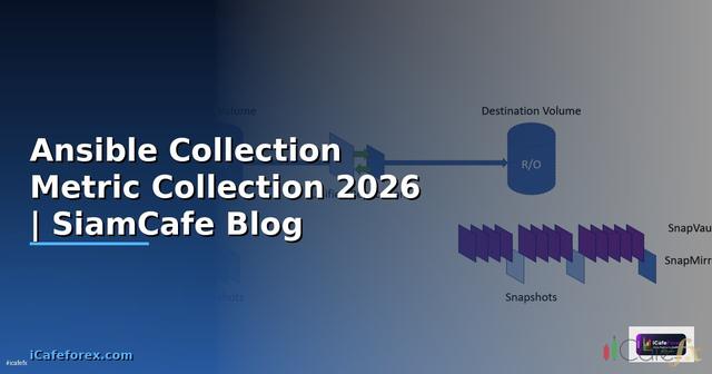 Ansible Collection Metric Collection