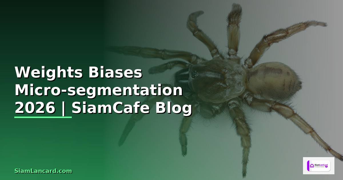 Weights Biases Micro-segmentation