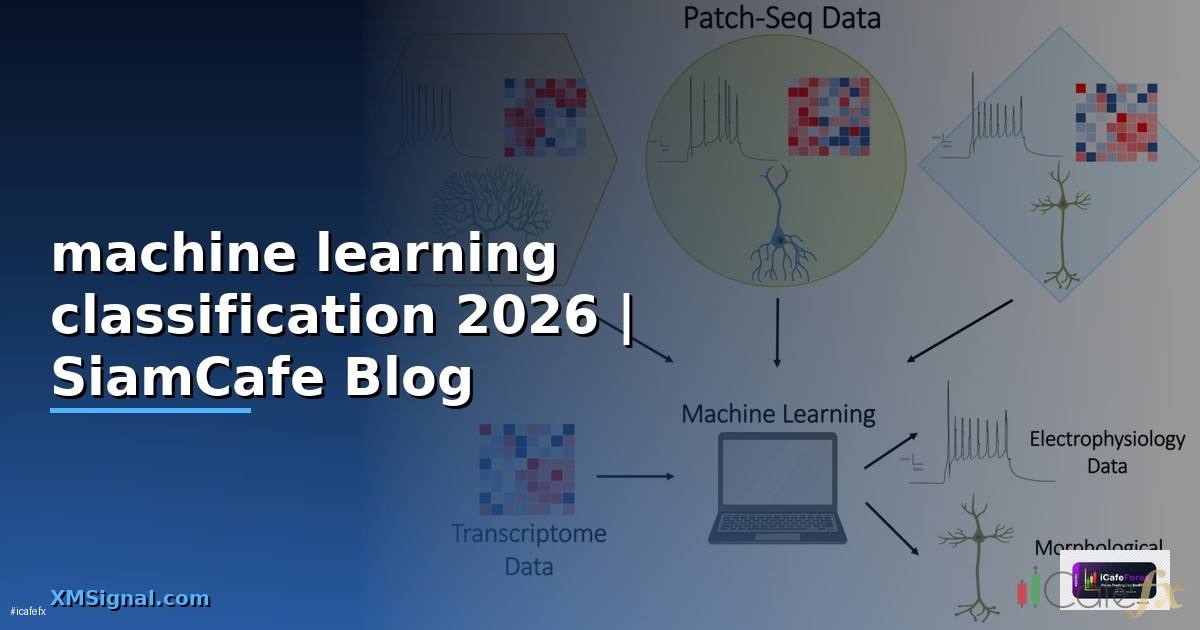 machine learning classification คือ