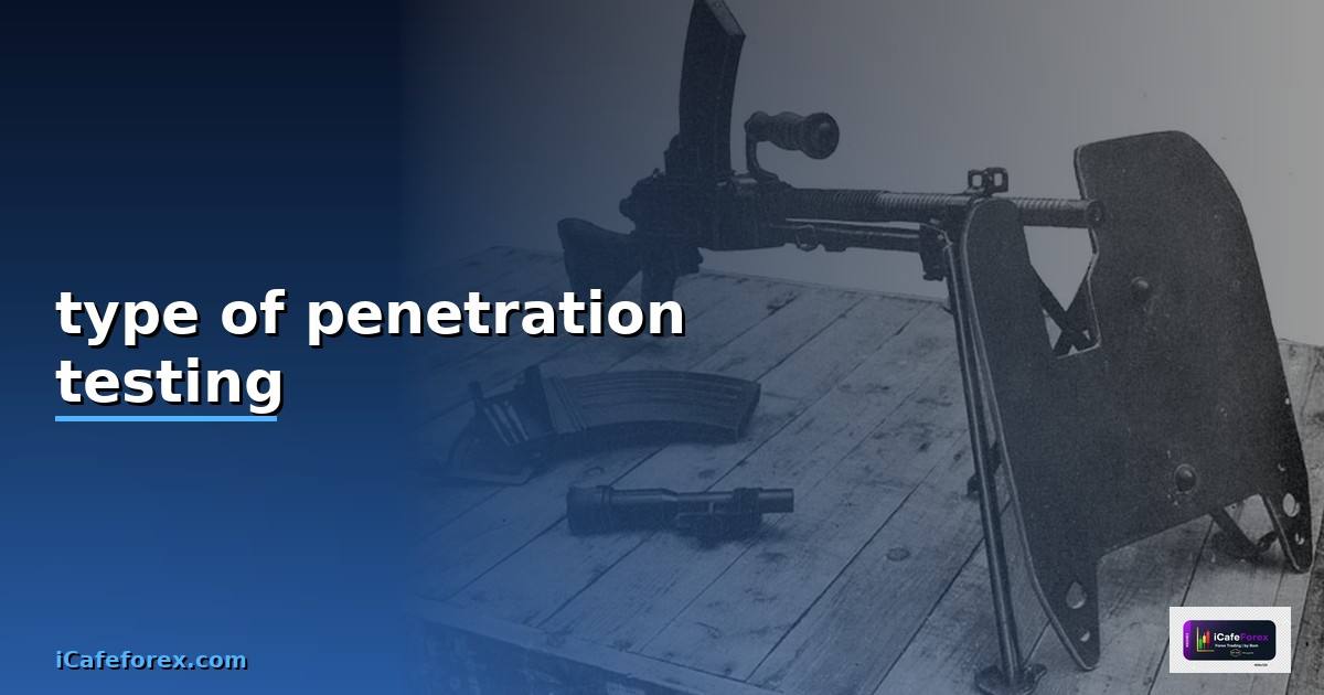 type of penetration testing —