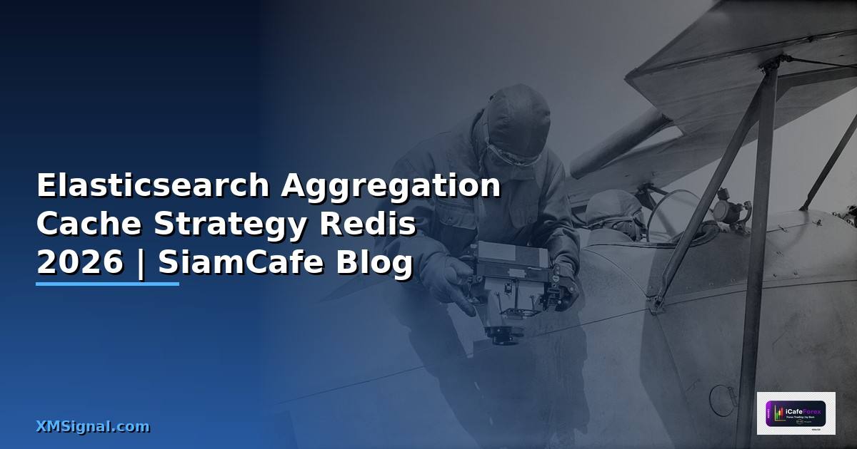 Elasticsearch Aggregation Cache Strategy Redis