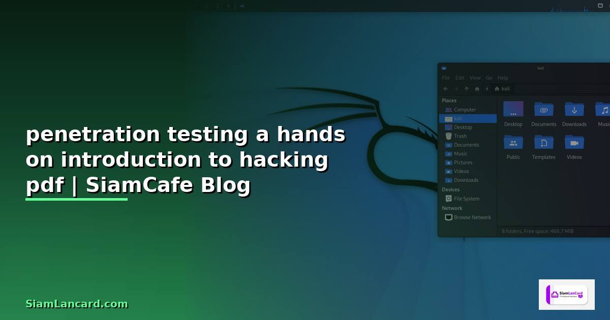 penetration testing a hands on introduction to