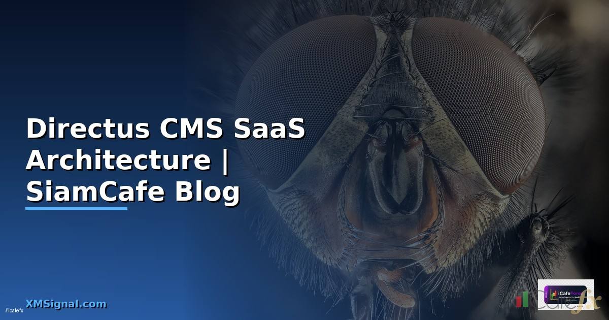 Directus CMS SaaS Architecture