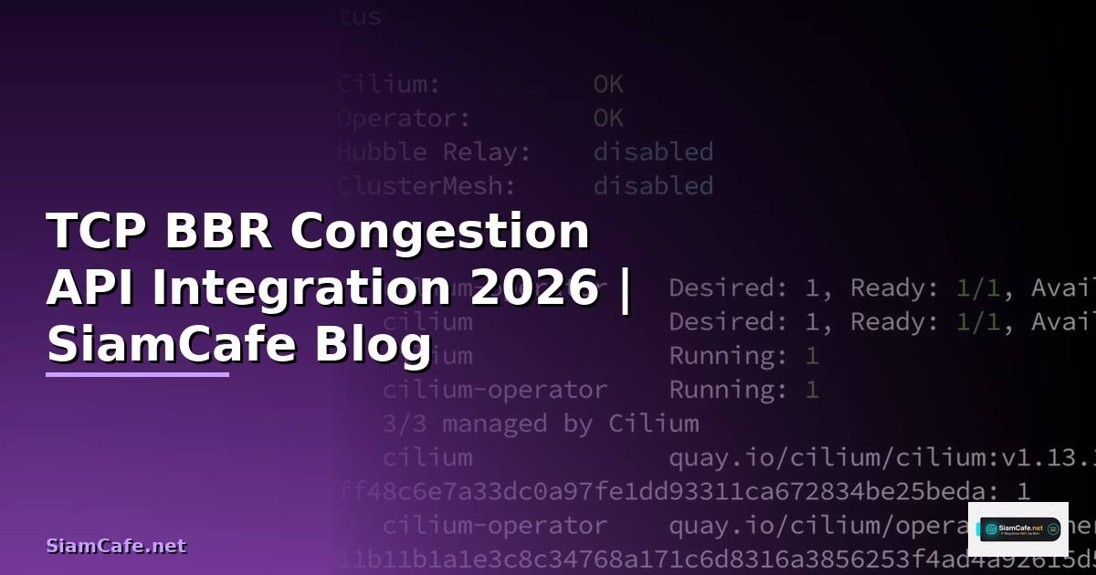 TCP BBR Congestion API Integration เชื่อมต่อระบบ