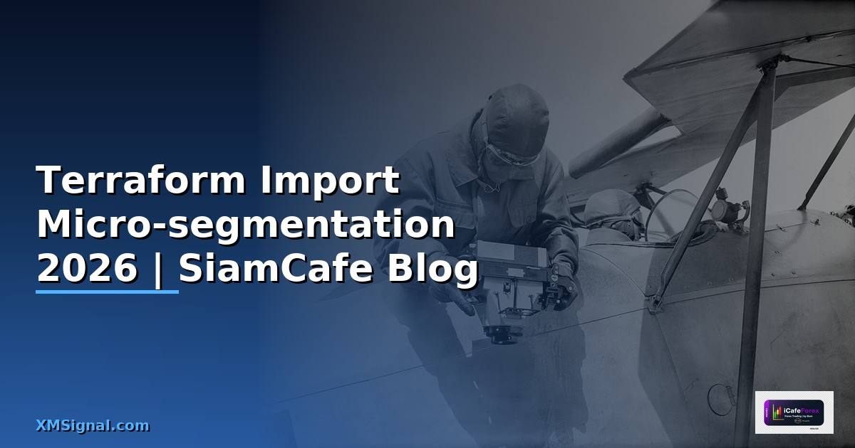 Terraform Import Micro-segmentation
