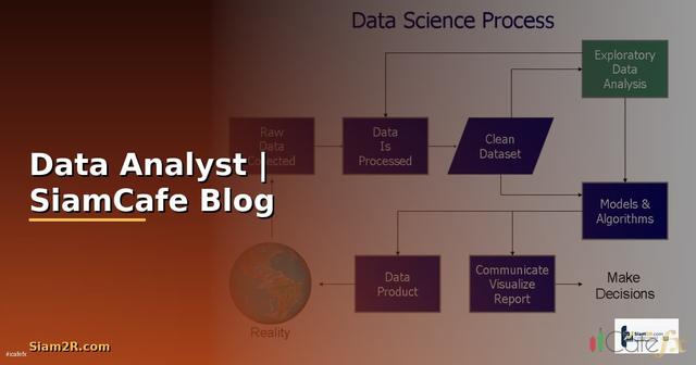 สายงาน Data Analyst — คู่มือเส้นทางอาชีพฉบับสมบูรณ์