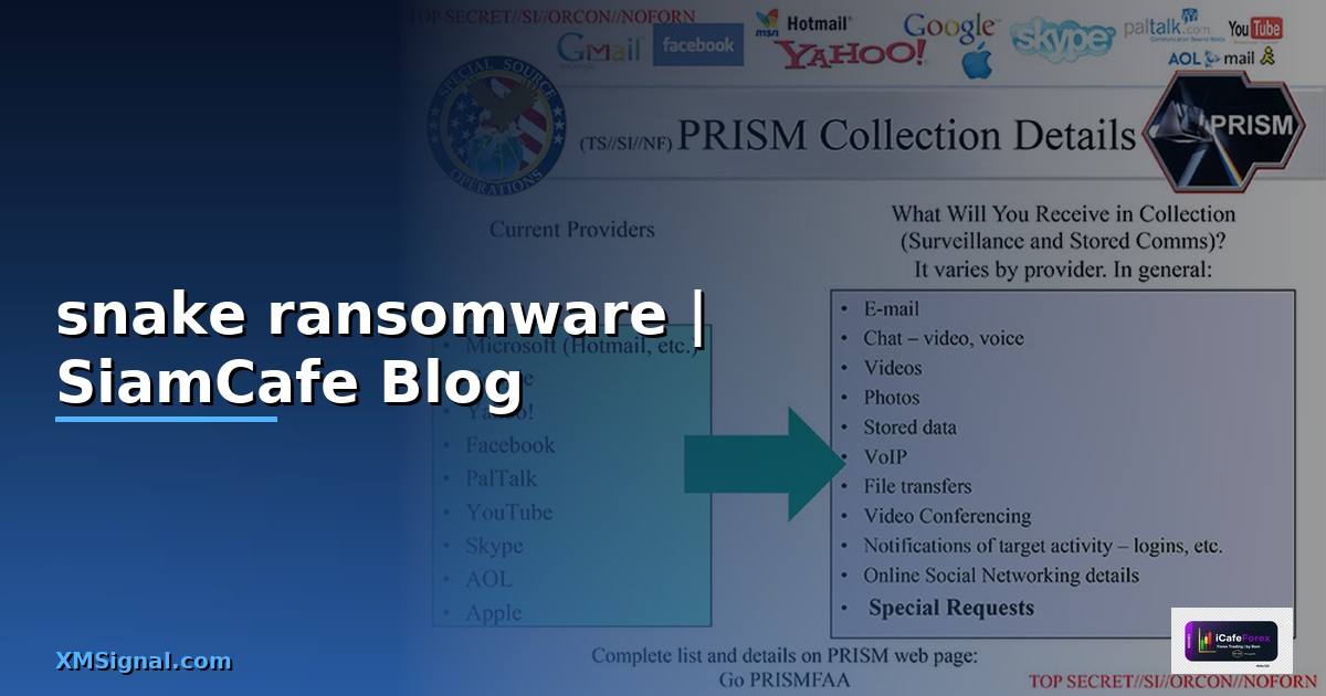 snake ransomware คือ