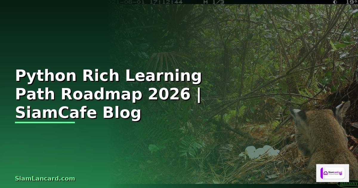 Python Rich Learning Path Roadmap