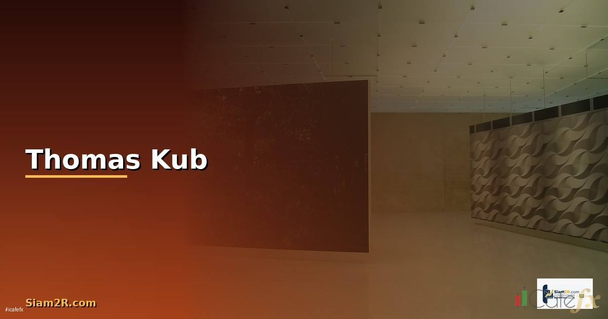Thomas Kub — วิธีตั้งค่าและใช้งานจริงพร้อมตัวอย่าง
