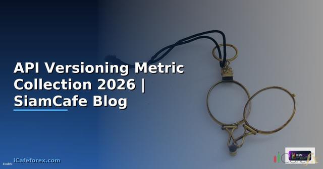 API Versioning Metric Collection